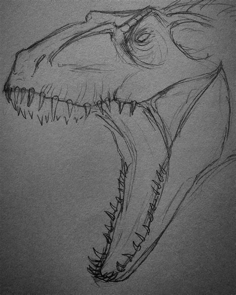 Pin By Kameliya On Something To Try Dino Drawing Dinosaur Sketch