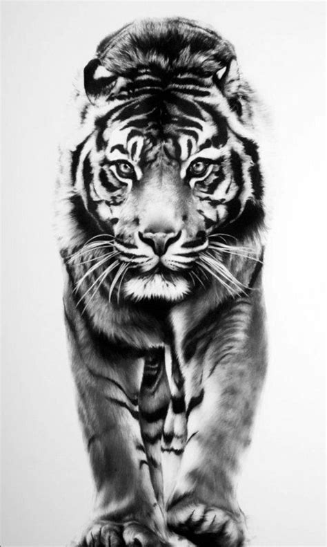 Print Limited Edition Tiger Drawing Tiger Tattoo Tiger Tattoo
