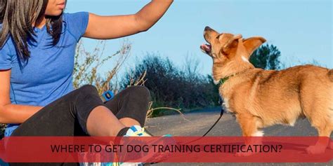 Where To Get Dog Training Certification Vet Ranch