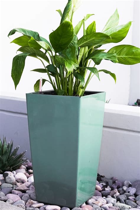 Nested Plastic Self Watering Square Planter Pot Pl3509tur Xbrand