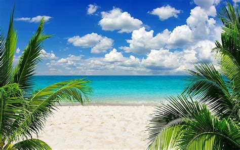 Hd Wallpaper Green Palm Trees Beach Sand Tropical Sky Horizon