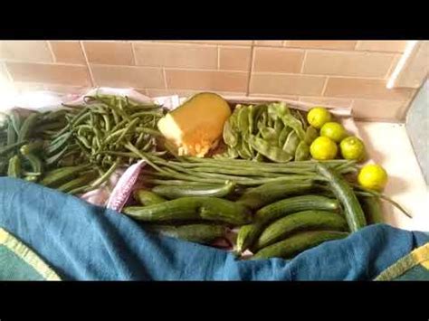 Maybe you would like to learn more about one of these? How to keep vegetables fresh without fridge - YouTube