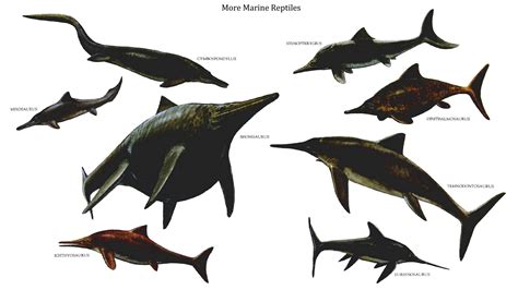 A Reptilian Dinosaurs Picture Entitled Marine Reptiles 2
