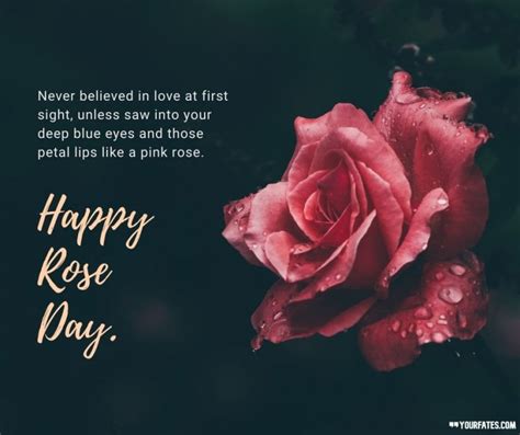 105 Happy Rose Day Wishes Quotes And Message For Your Love