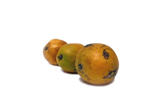 Descubre Las Propiedades Benéficas De Consumir Mango Ciruelo
