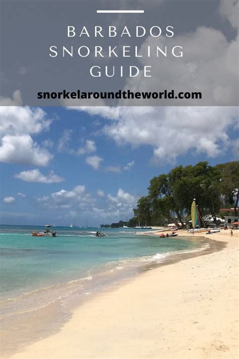 snorkeling in barbados best beaches to snorkel snorkel around the world snorkeling