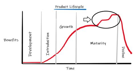Maturity Stage Of Product Life Cycle