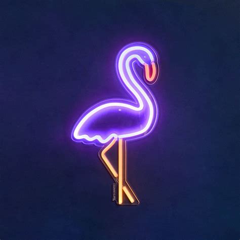 Discover The Sunnylife Neon Led Wall Light Flamingo Small At Amara