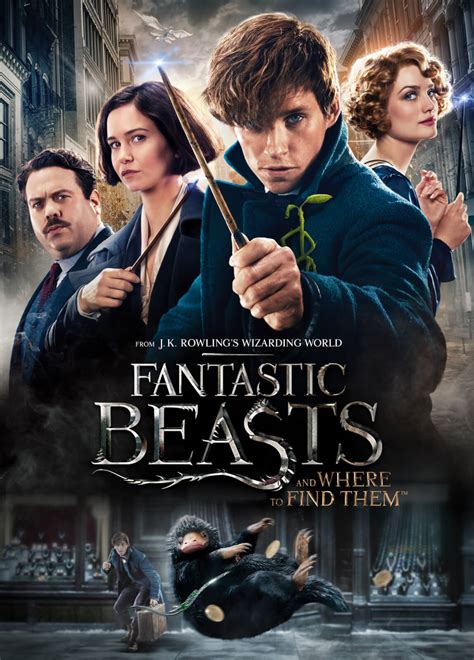 Fantastic Beasts And Where To Find Them Dvd Zavvi