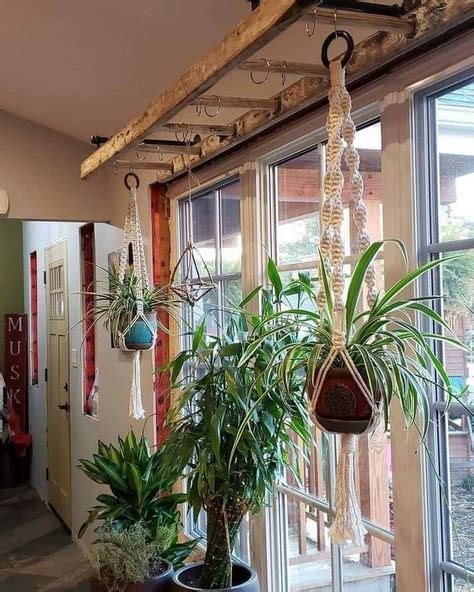 39 Indoor Plantgarden Ideas Indoor Plants Plants Planting Flowers