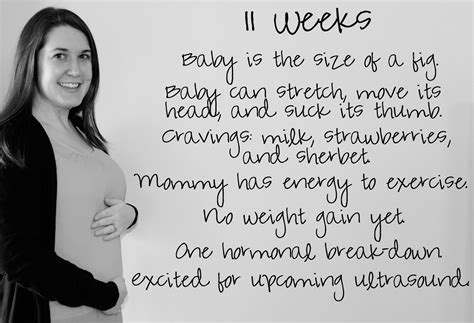 His Plan Not Ours Bump Update 11 Weeks