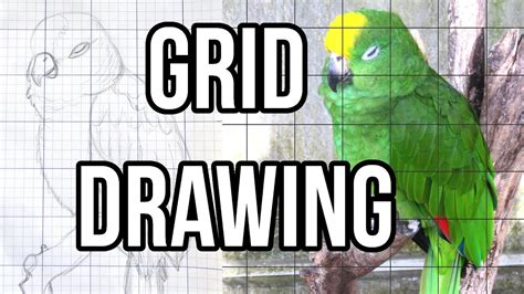 Grid Drawing Tutorial How To Make A Grid In Gimp Youtube