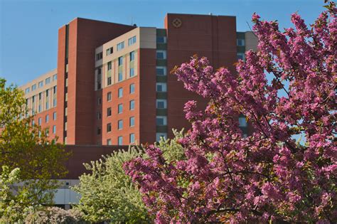 University Tower Housing Options Explore Housing And Residence Life