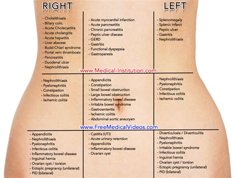 Causes Of Abdominal Pain On The Left Side Pelajaran