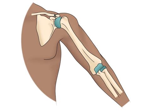Shoulder And Elbow Problems Gemini Osteopathy