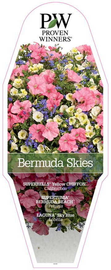 Bermuda Skies Recipe Heavyweight 18x45 Diecut Sign Proven Winners