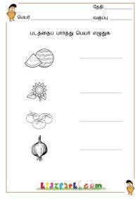 Grade 1 tamil workbook download in tamil medium published in educational publications official website. Tamil Names, Tamil Learning for Children, Tamil for Grade 1 | 1st grade worksheets, Phonics ...