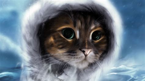Hd cat wallpapers, kitten images, cute cat photos, free. Cat HD Wallpaper | Background Image | 1920x1080 | ID ...