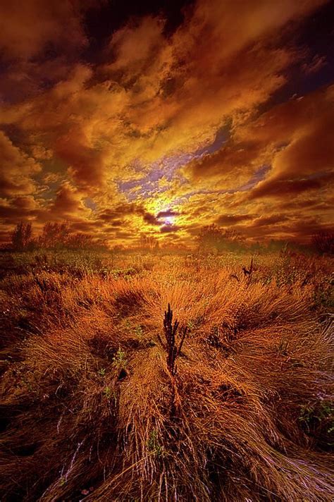The Entirety Of The Quest By Phil Koch Amazing Sunsets Amazing