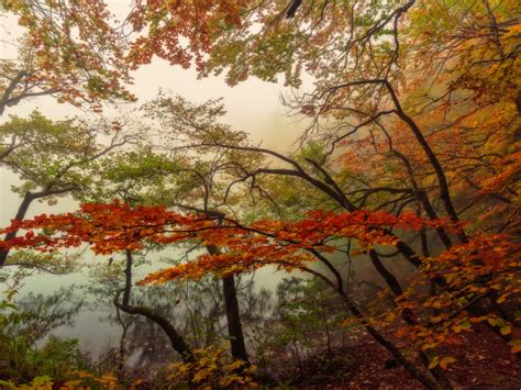 Autumn Landscape Nature National Park Plitvice Lakes