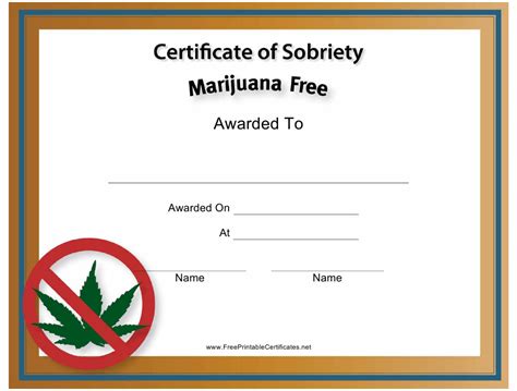 Stunning Certificate Of Sobriety Template Free Sparklingstemware