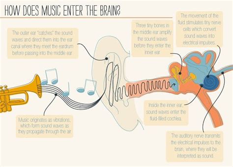 Does Music Stimulate The Brain