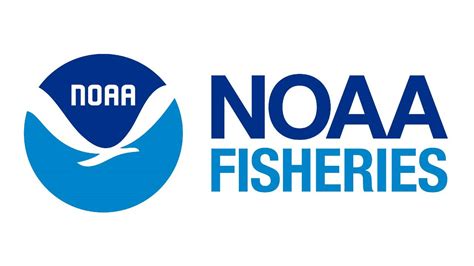 2024 Noaa Fisheries Dealer Permit Renewals Now Available Online Wobx News