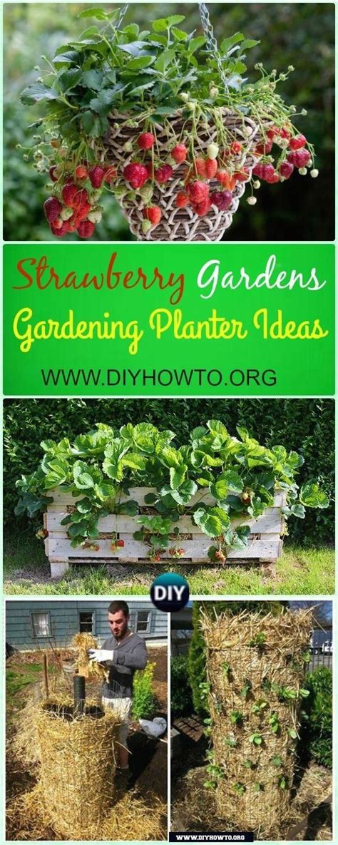 10 Space Saving Strawberry Garden Gardening Planter Ideas Modern