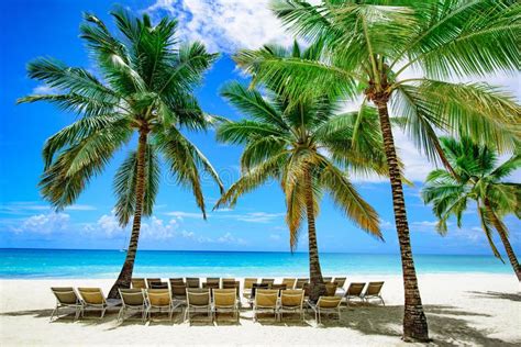 Paradise Tropical Beach Palm The Caribbean Sea Stock Image Image Of