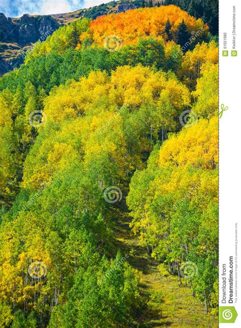 Colorado Fall Foliage Conundrum Hot Springs Trail Stock