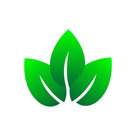 Eco Friendly Leaves Icon Green Leaves Flat Design 3598058 Vector Art