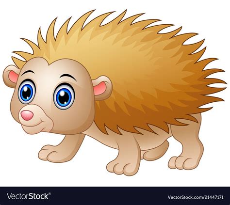 Hedgehog Cartoon Cute Hedgehog Lovely Animal Cartoon Character Front