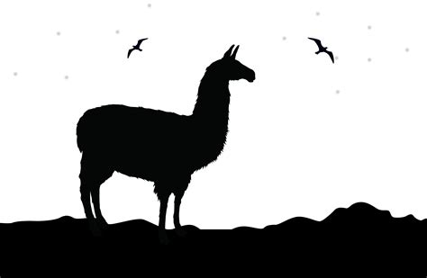 Cute Llama Clipart At Getdrawings Free Download