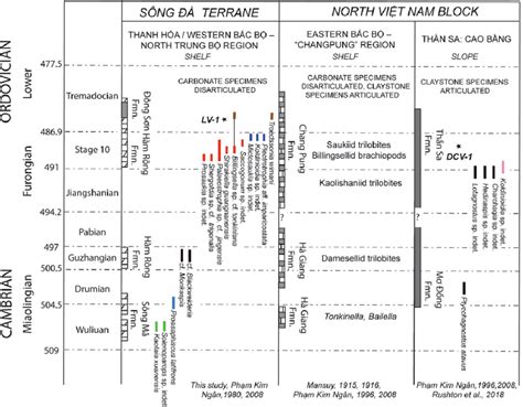 Colour Online Chart Showing The Stratigraphic Occurrence Of Cambrian