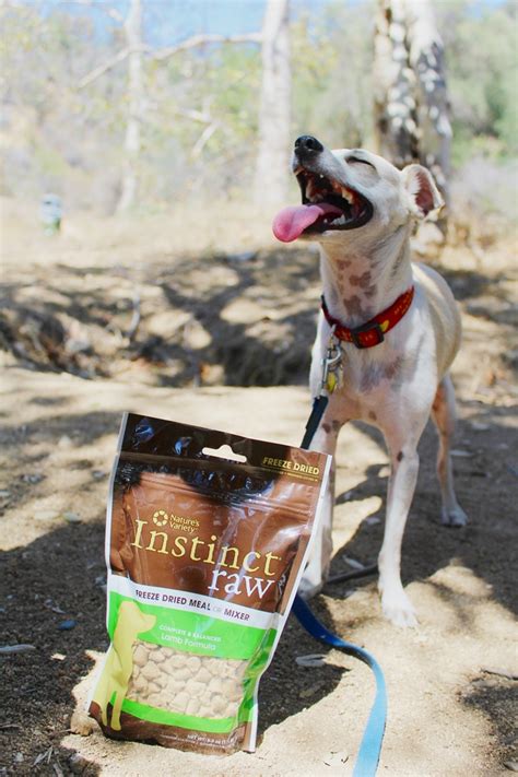An extensive selection of brands, friendly customer service, and low shipping costs are just some of the reasons pet owners choose chewy for their dog food needs. HAPPYHAZEL: Happy Reviews Instinct Raw Freeze Dried Dog ...