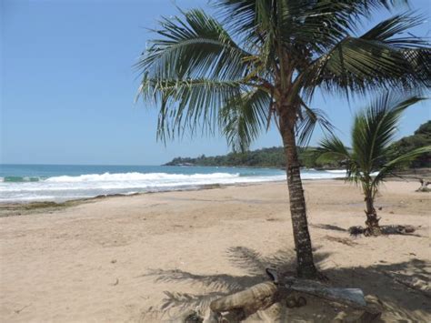 Playa Bonita Puerto Limon 2021 All You Need To Know Before You Go