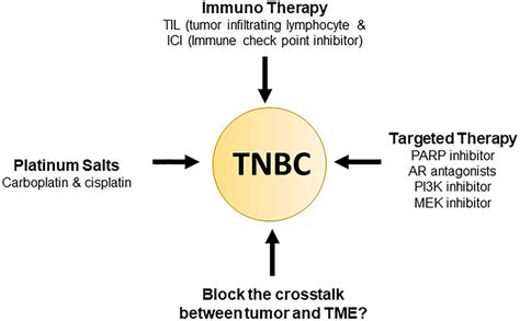 Current Triple Negative Breast Cancer Therapy Download Scientific