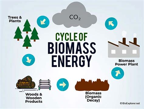 Top 20 Biomass Energy Pros And Cons Updated 2023