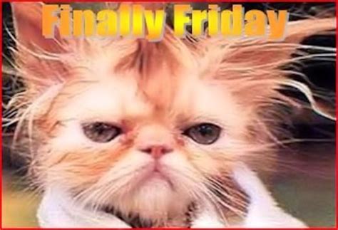 Its Finally Friday Friday Happy Friday T Maxine Friday Quotes Friday