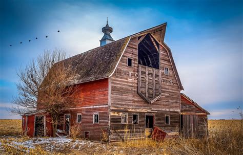 Running up to the fence and petting the horse along its muzzle how are you girl? Old Barn Photographys (Old Barn Photographys) design ideas ...