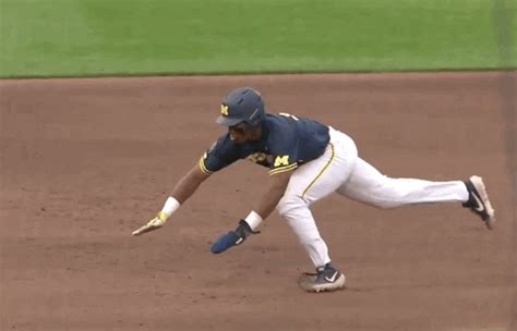 Wolverines Baseball Gifs Get The Best Gif On Giphy