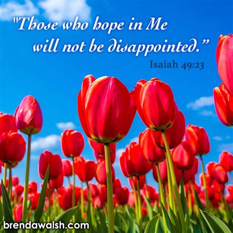 Disappointment Archives Brenda Walsh Scripture Images