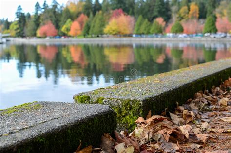 Vancouver Seawall In Autumn Stock Image Image Of Autumn Water 46494397