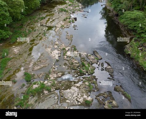 Low Water In The River Eden At Armathwaite Cumbria Stock Photo Alamy