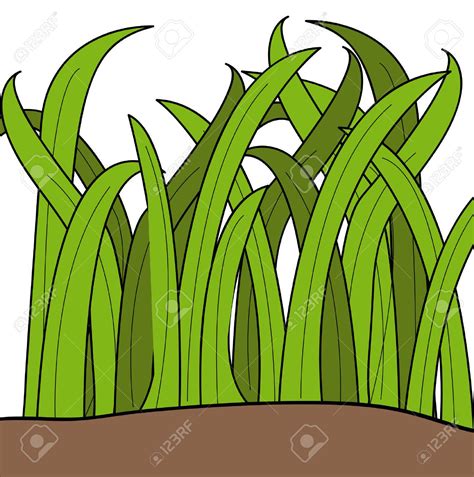 Tall Grass Vector At Getdrawings Free Download