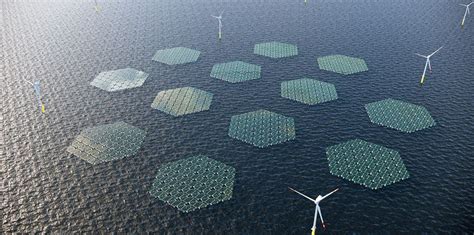 Solars Next Frontier Rwe Backs North Sea Floating Pv Pilot As Step