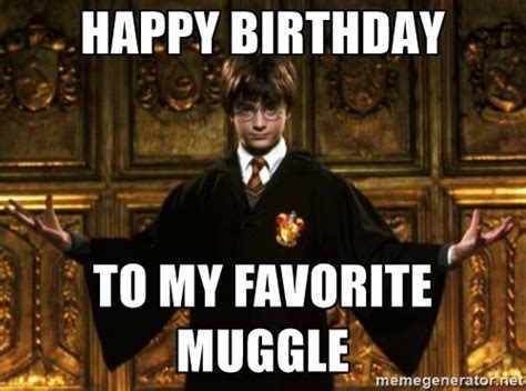 Harry Potter Come At Me Bro Happy Birthday To My Favorite Muggle