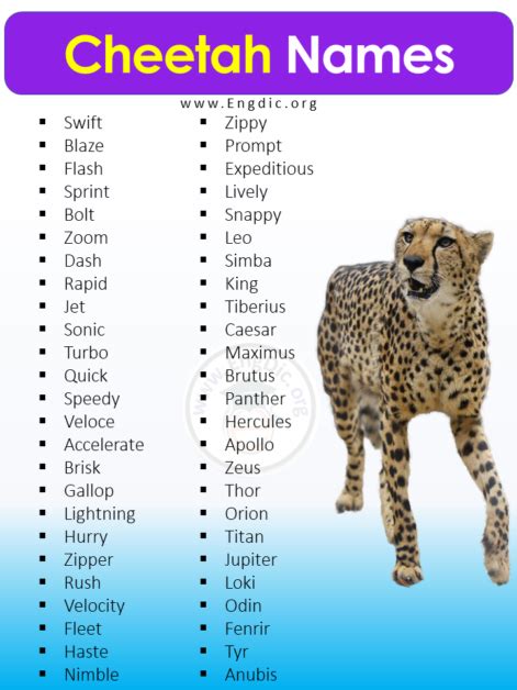 300 Best Names For Cheetah Male Female Cute Funny Engdic