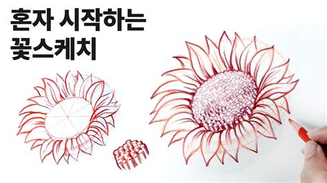 초보자를 위한 해바라기꽃 스케치 수업 꽃 잘 그리는 방법 식물스케치 Drawing Sunflower Sketch Youtube