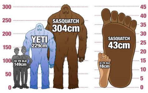 Have You Ever Spotted A Sasquatch Explore Awesome Activities And Fun